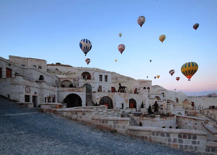 فوكاس كيف سويتس غوريمِيه