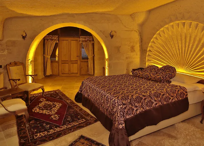 فوكاس كيف سويتس غوريمِيه