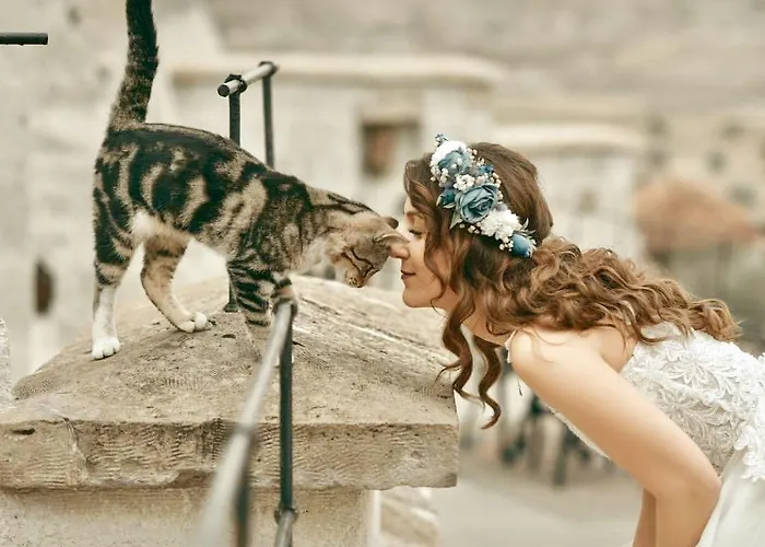 Phocas Cave מלון 2*