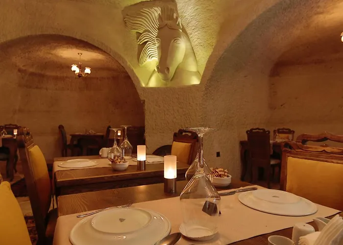 فوكاس كيف سويتس غوريمِيه